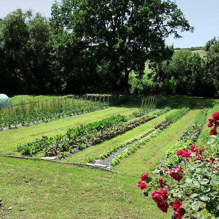 Madonnella Agricola Villa Cesano Exteriör bild
