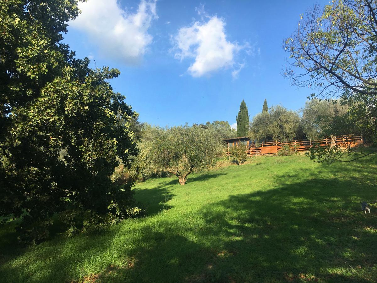 Madonnella Agricola Villa Cesano Exteriör bild
