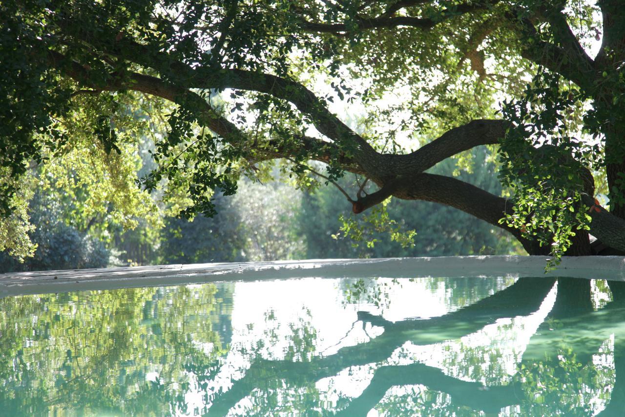 Madonnella Agricola Villa Cesano Exteriör bild